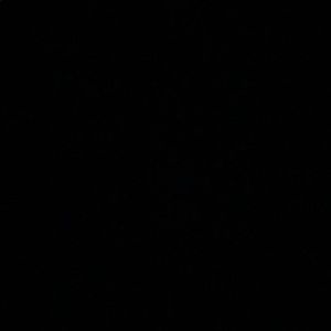 Meet your Posher, Zachary